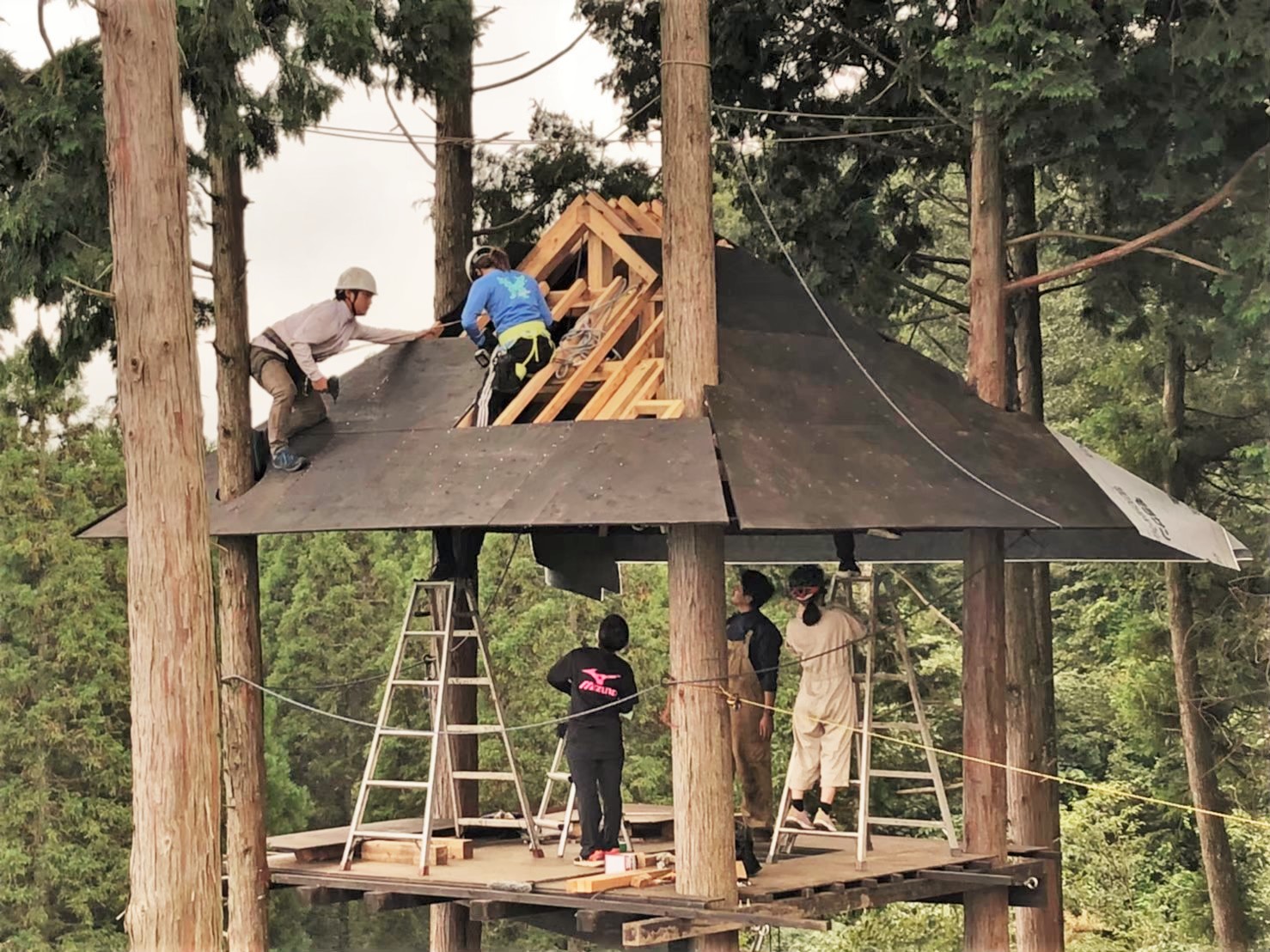 Treehouse Sauna
